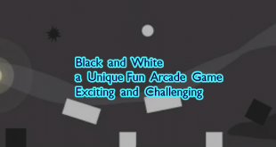 Black and White - a Unique Fun Arcade Game, Exciting and Challenging