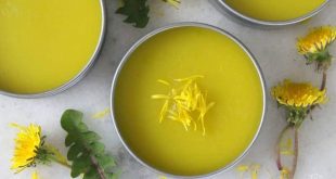 Dandelion Salve