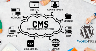 CMS Development Company in India