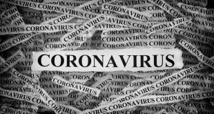 Top 5 Corona Affected cities in India