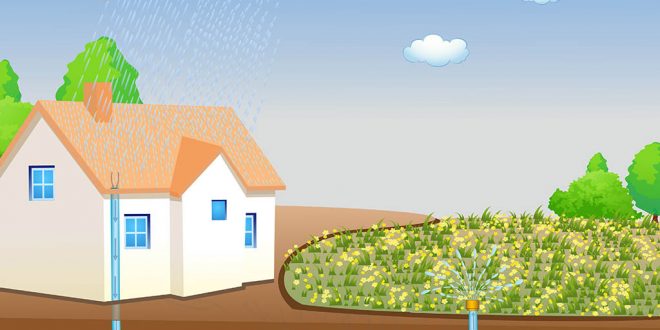 rainwater harvesting