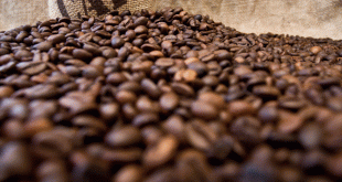 HOW TO MAKE YOUR MORNING COFFEE RITUAL MORE ECO-FRIENDLY