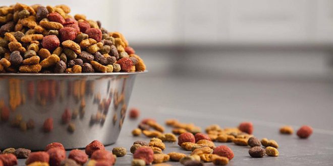 Dog Foods