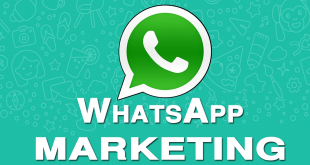 WhatsApp Marketing