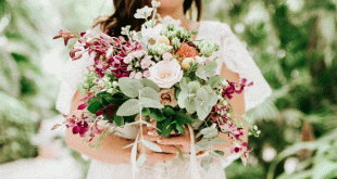 buy dried flowers at Bloompost