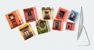 Visual Watermark Review