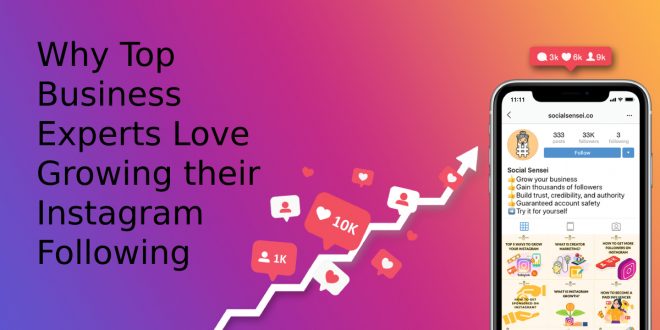 Why Top Business Experts Love Growing their Instagram Following