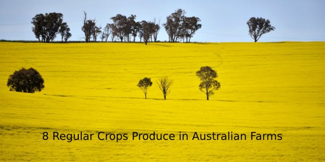 8 Regular Crops Produce in Australian Farms