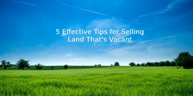5 Effective Tips for Selling Land That's Vacant