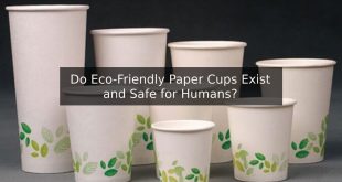 Do Eco-Friendly Paper Cups Exist and Safe for Humans?