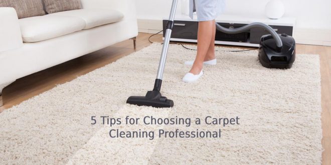 5 Tips for Choosing a Carpet Cleaning Professional