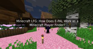 Minecraft LFG: How Does E-PAL Work as a Minecraft Player Finder?