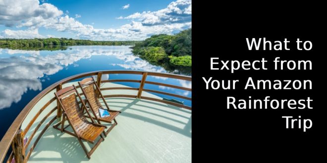What to Expect from Your Amazon Rainforest Trip