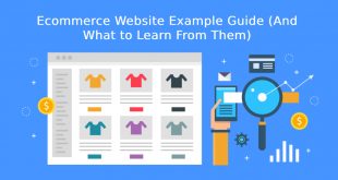 Ecommerce Website Example Guide (And What to Learn From Them)