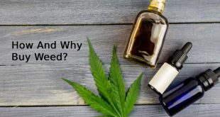 How And Why Buy Weed?