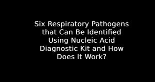 Nucleic Acid Diagnostic Kit