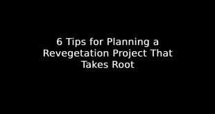 Planning a Revegetation Project