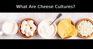 What Are Cheese Cultures?
