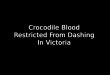 Crocodile Blood Restricted From Dashing In Victoria
