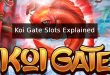 Koi Gate Slots Explained