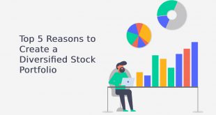 Diversified Stock Portfolio