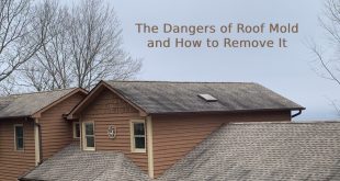Dangers of Roof Mold