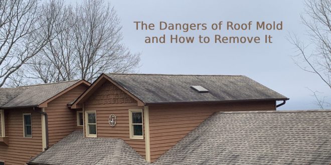 Dangers of Roof Mold