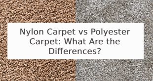 Nylon Carpet vs Polyester Carpet