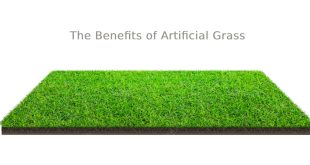 artificial turf