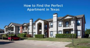 Perfect Apartment in Texas