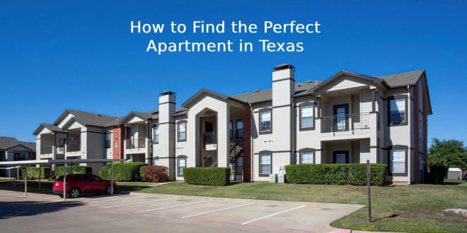 Perfect Apartment in Texas