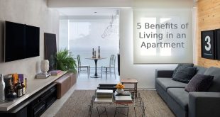 Living in an Apartment