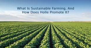 Sustainable Farming