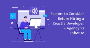 Factors to Consider Before Hiring a ReactJS Developer — Agency vs Inhouse