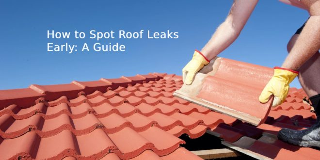 How to Spot Roof Leaks Early: A Guide