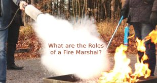 What are the Roles of a Fire Marshal?