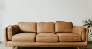 How To Choose The Right Sofa Set For Your Family