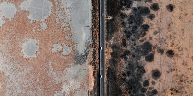 Mold Removal