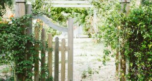 A Beginner's Guide to Basic Fence Maintenance