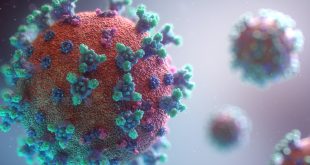 Major Signs & Symptoms Of Monkeypox Virus