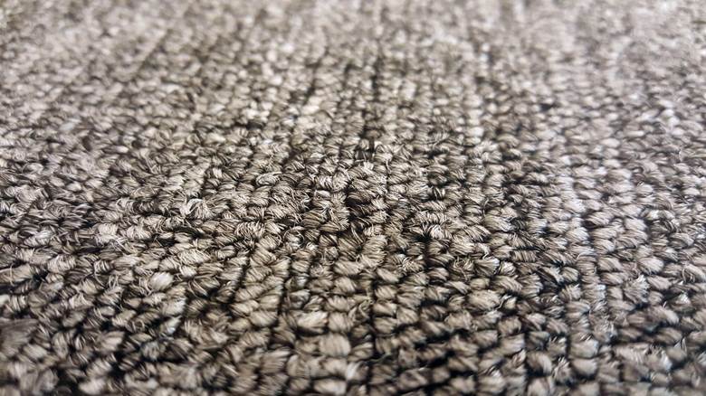 Before the Carpet Comes Out