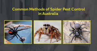 Pest control