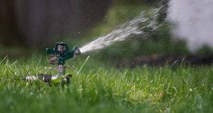 Lawn and Landscaping