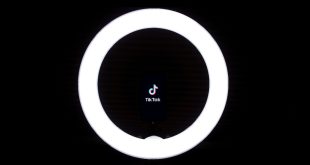 TikTok Downloader