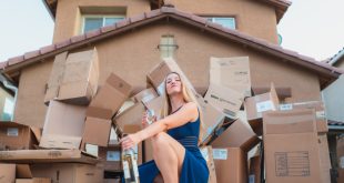 best moving companies in Chicago