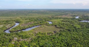 land for sale in East Texas