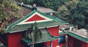 Rooftop Repairs