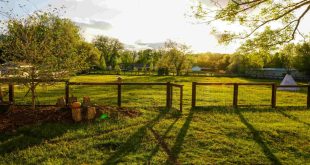 Septic System Installation