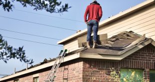 roof rejuvenation