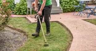 Professional Landscaping Services